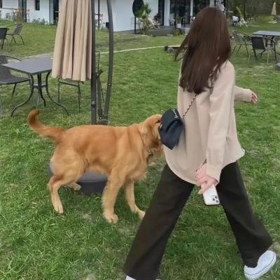 奇美拉